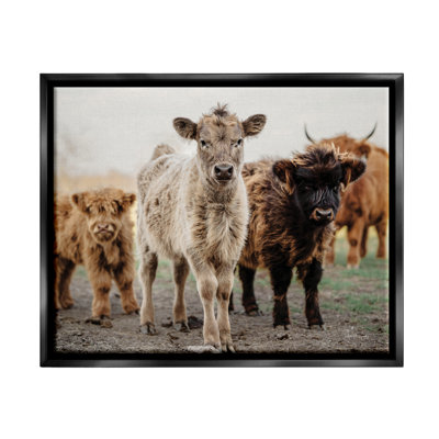 «Baby Calves On Farm» par Dakota Diener