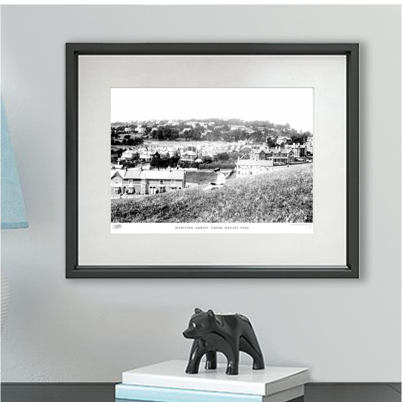 Newton Abbot, From Decoy 1906 by Francis Frith - Single Picture Frame Print, 45cm H x 60cm W x 2.3cm D