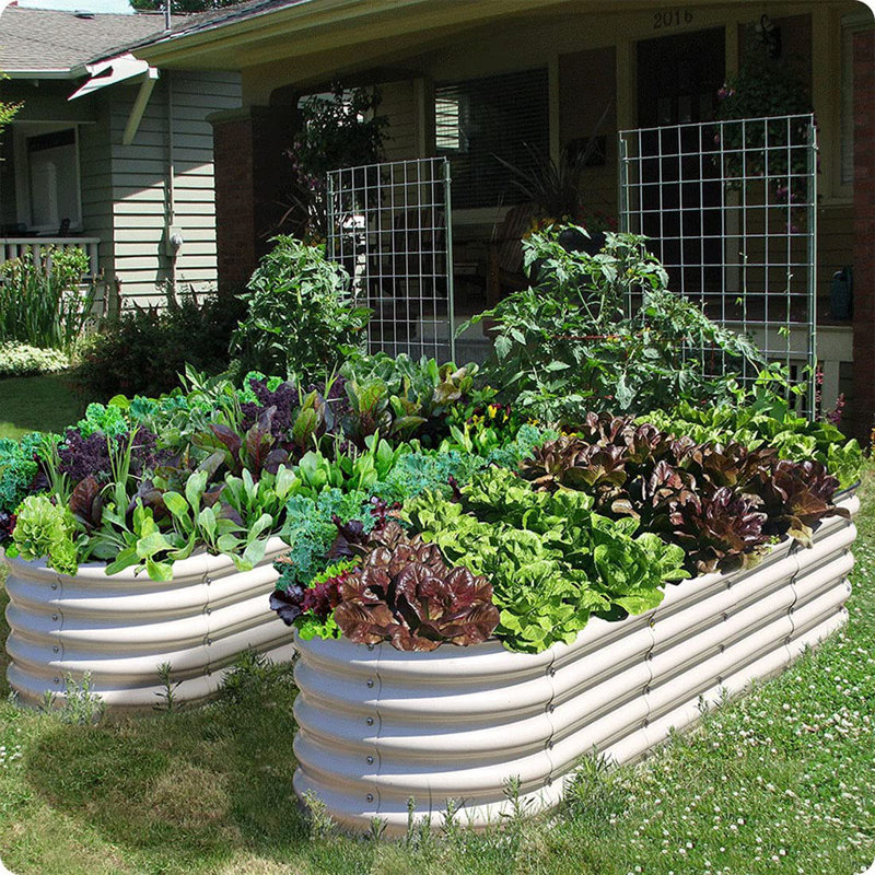 Raised Garden Bed