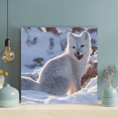 " A Cute White Fox On Snow Ground "