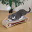 2-in-1 Cardboard Cat Scratcher Lounge