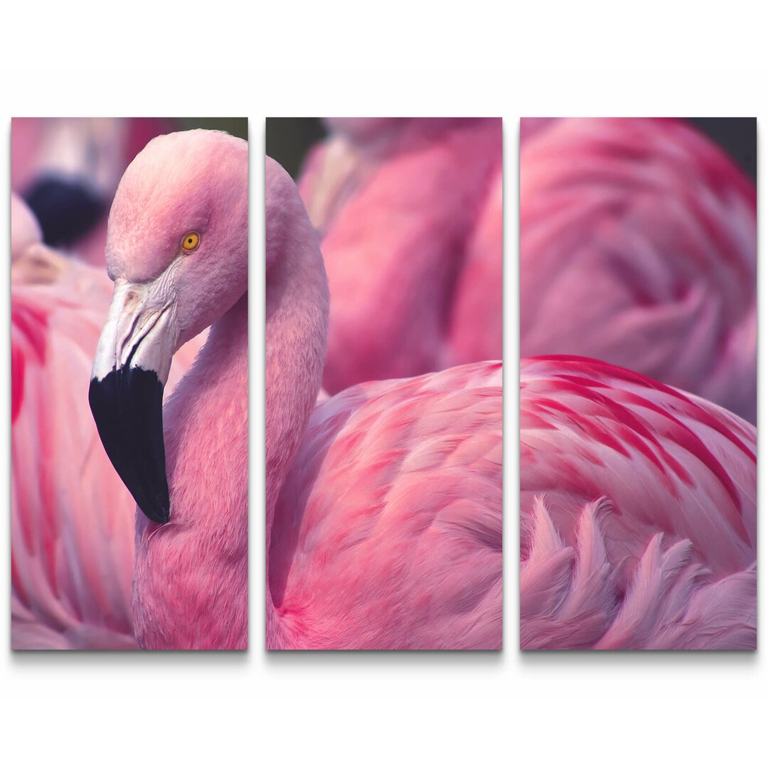 3-tlg. Leinwandbilder-Set Pinker Flamingo