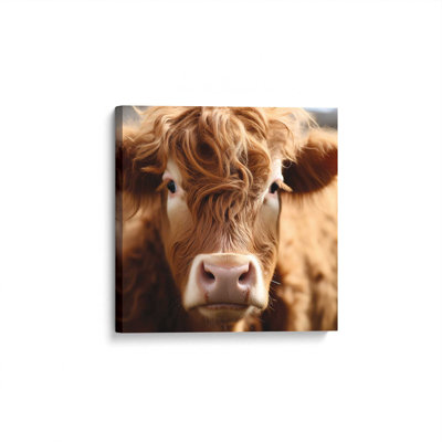 Highland Close Up by Heidi Kuntz Art Print