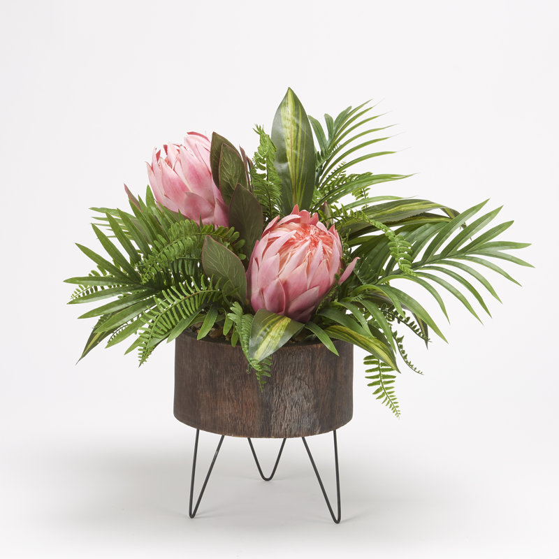 Proteas rose très grand avec des feuilles de palmier dans une jardinière ronde en bois avec des pieds en fil de fer