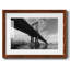 Pont de Manhattan-606413265-606413359