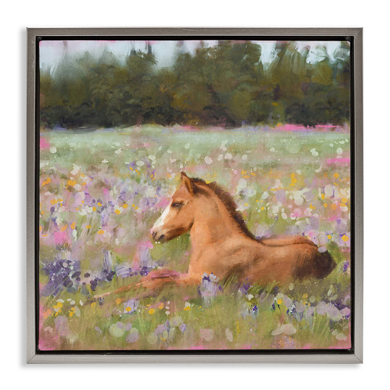 Poulain poulain se prélassant dans un pré de fleurs, Cadre flottant gris lustré, H 25 po x l 25 po