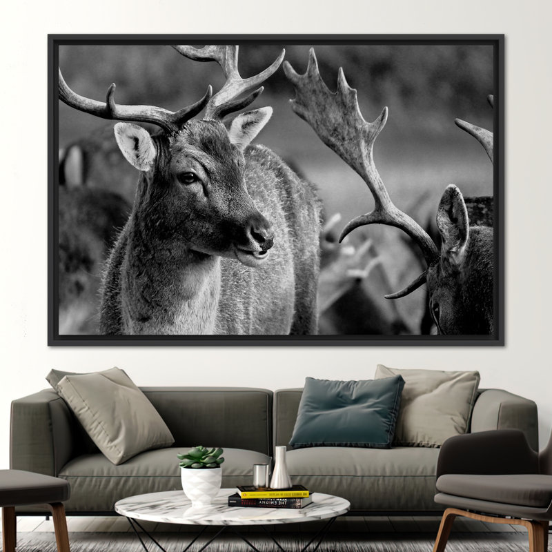 Superbe affiche murale «Deer Wildlife» - idéale pour les amateurs de décoration de loft et d'animaux, H 41 po x l 94 po, Noir