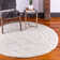 Eginhardt Shag Pure Area Rug