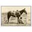 «Cowboy IV», photographie sur toile-43309856-43309861