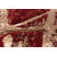 Tapis rouge Artresha-1489865228