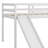 Loft Bed With Slide-648306144
