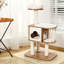 Arbre à chat 46 po Maynerd-1676831669
