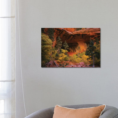 Trees in Front of a Cave, Zion National Park, Utah, USA 1 Piece Wrapped Canvas Wall Art