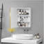 Armoire de salle de bain polyvalente avec cadre en métal avec miroir pour diverses installations