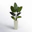 60'' Faux Palm Tree in Fiber Clay Planter