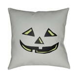 Indoor/Outdoor Throw Pillow