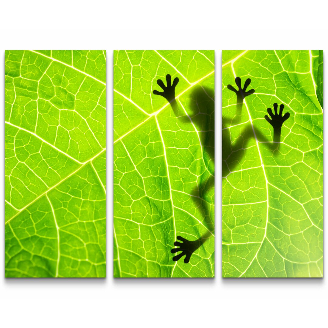 3-tlg. Leinwandbilder-Set Froschschatten auf einem Blatt