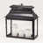 Zinc noir est en rupture de stock