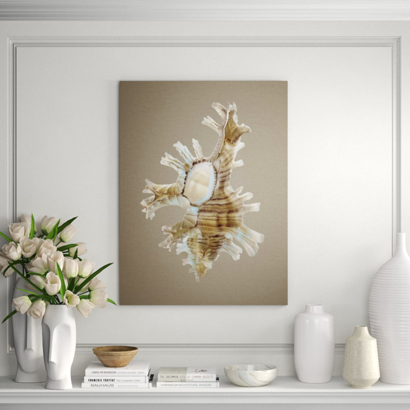 Shells On Champagne II Print by Sofia Fox, Glass Coat, 50" H x 40" W x 1.5" D