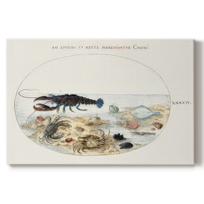 Hoefnagel Sea Vignettes