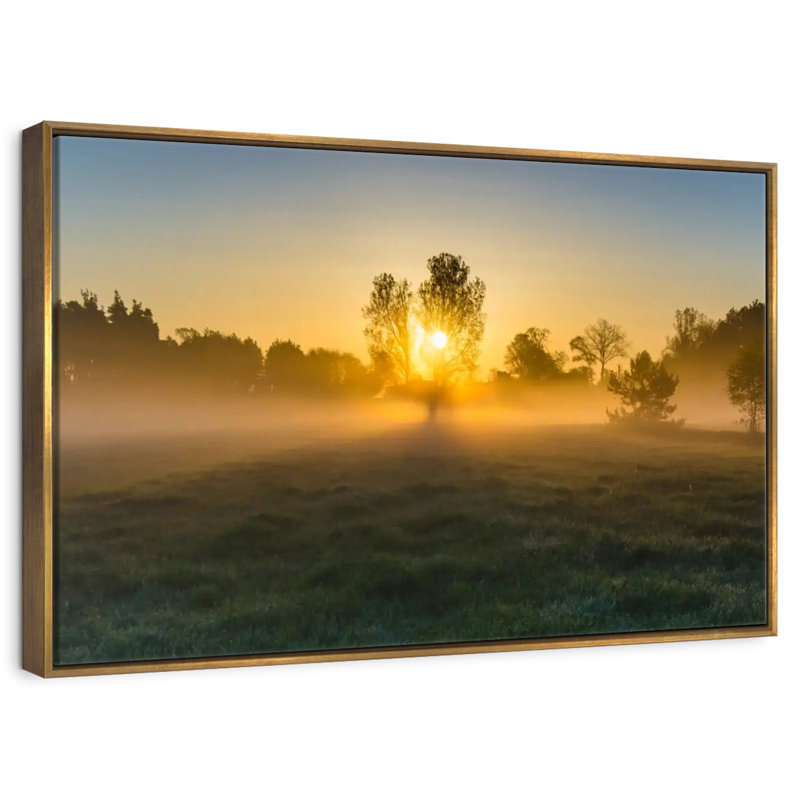 Misty Meadow au lever du soleil, Cadre flottant doré, 37 po x 25 po