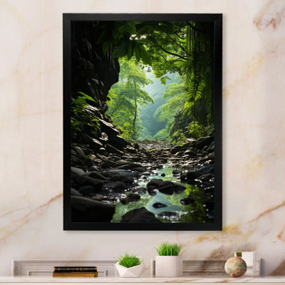 Australia Daintree Rainforest Canopy " Australia Daintree Rainforest Canopy "