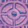 Kouerga Hand Tufted Wool/Viscose Geometric Rug in Purple
