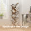 141.5cm H x 50cm W Bookcase