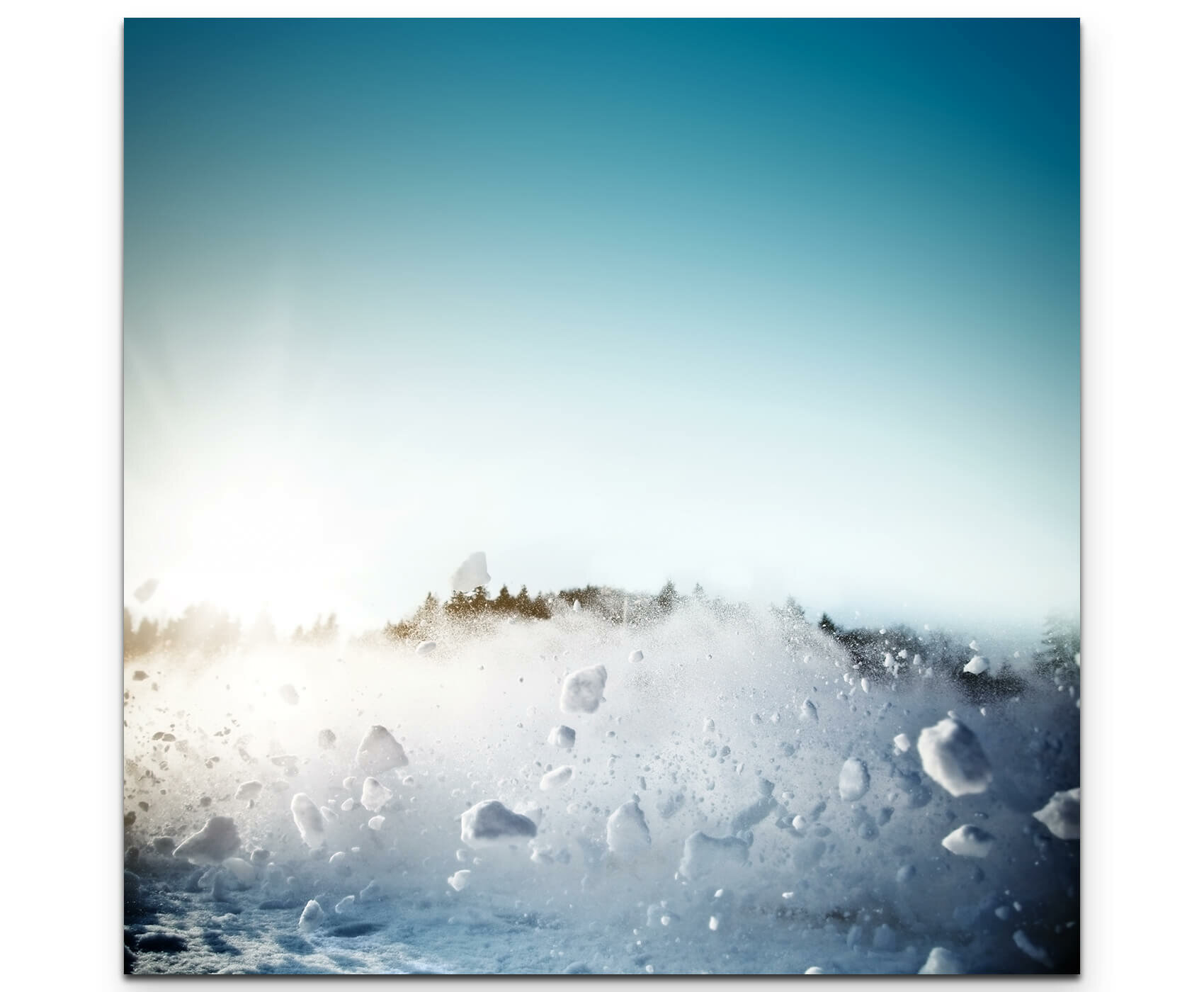 Mit Schnee bedeckter Besen auf einer … – Bild kaufen – 11226058 ❘  living4media