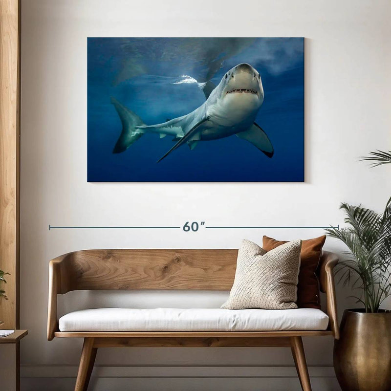 Brampt Shark Pursuit, 30" H x 45" W