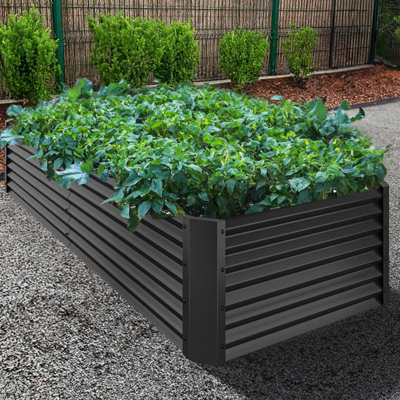 Lit de jardin surélevé Millerville - 8 x 4 x 1,5 pi, Noir, H 18 po x l 96 po x P 48 po