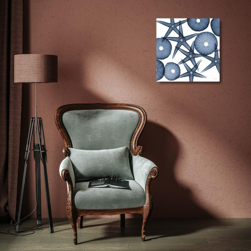 "Dovecove Koetsier, Albert", art sur toile tendue: Collage d'étoiles de mer et d'oursins, H 15 po x l 15 po