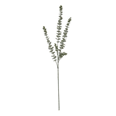 Anastasija Arrangement