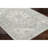 Rectangle Clapham Oriental Machine Woven Polypropylene Area Rug in Light Beige/Gray-1172252667