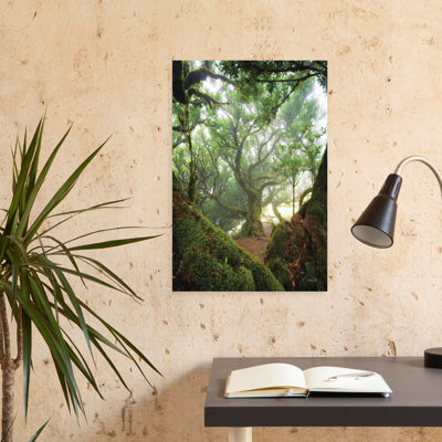 Tree Love Abstract Contemporary Forest Landscape Art