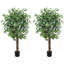 Ensemble de 2 ficus artificiels de 5 pi - 756 feuilles luxuriantes, troncs doubles, plantes artificielles réalistes en pots noirs-1075721778