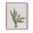 Rose n'est pas disponible