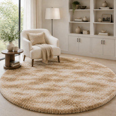 Ebern Designs Soft Fluffy Tie-Dyed Beige Shag Area Rug for Living Room Bedroom Nursery Kids Room