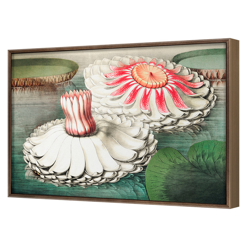 Lilies 2 Print by Grand Archives