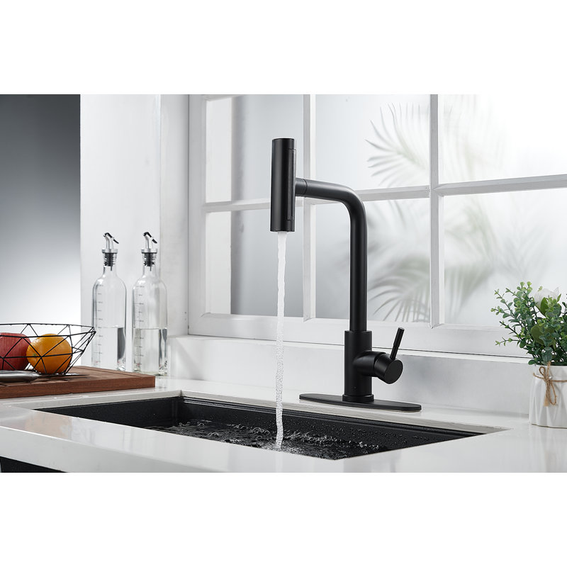 Robinet de cuisine rétractable à poignée simple avec fonction de jet 4, Noir mat