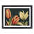 Black Framed selected
