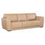 SS Leather Sofa-873952059