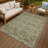 Machine Washable Indoor/Outdoor Chantille ACN2461 Spiral Rug-259077085-259077060