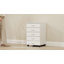 42 cm W 5 -Drawer Filing Cabinet