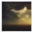 White Floater Framed Canvas