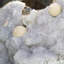 Cristal Casheena