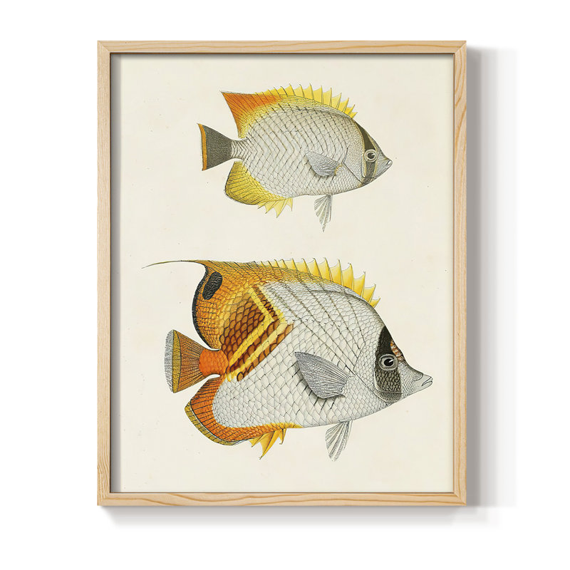 «Poisson jaune et gris I», H 21 po x l 17 po
