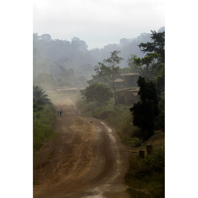 Gabon by Tropicalpixsingapore - No Frame Art Prints on Canvas, 46cm H x 30cm W