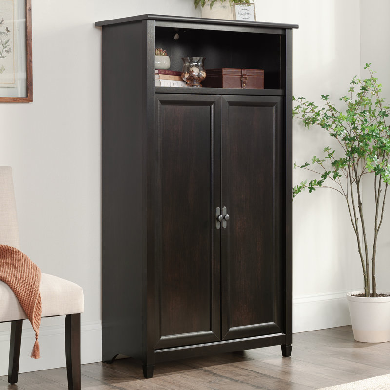 Ariza 2-Door Manufactured Wood Accent Cabinet, Estate Black
