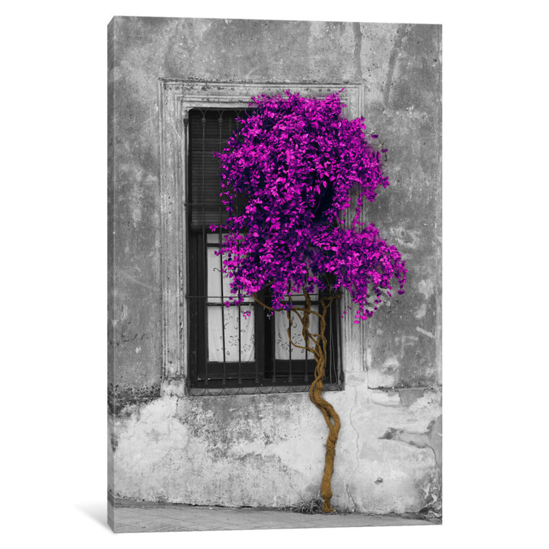 Tree in Front of Window Purple Pop Color Pop by Panoramic Images - Print, 26" H x 18" W x 1.5" D, Canvas